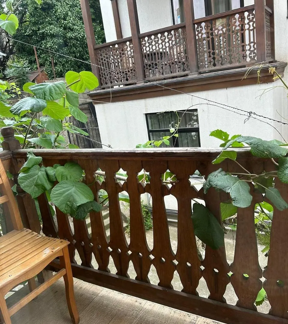 Sunny Tiflisi Hotel Georgië